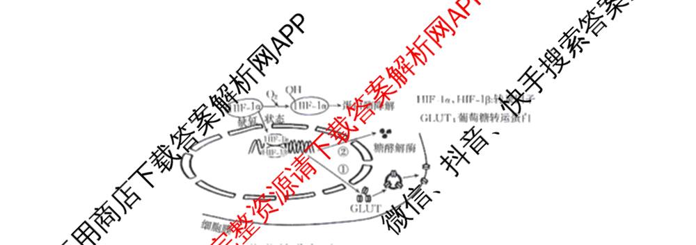 河北省衡水市2026届高三4月联考(4.12)各科答案及试卷（含政治、语文、地理等9份）生物试题