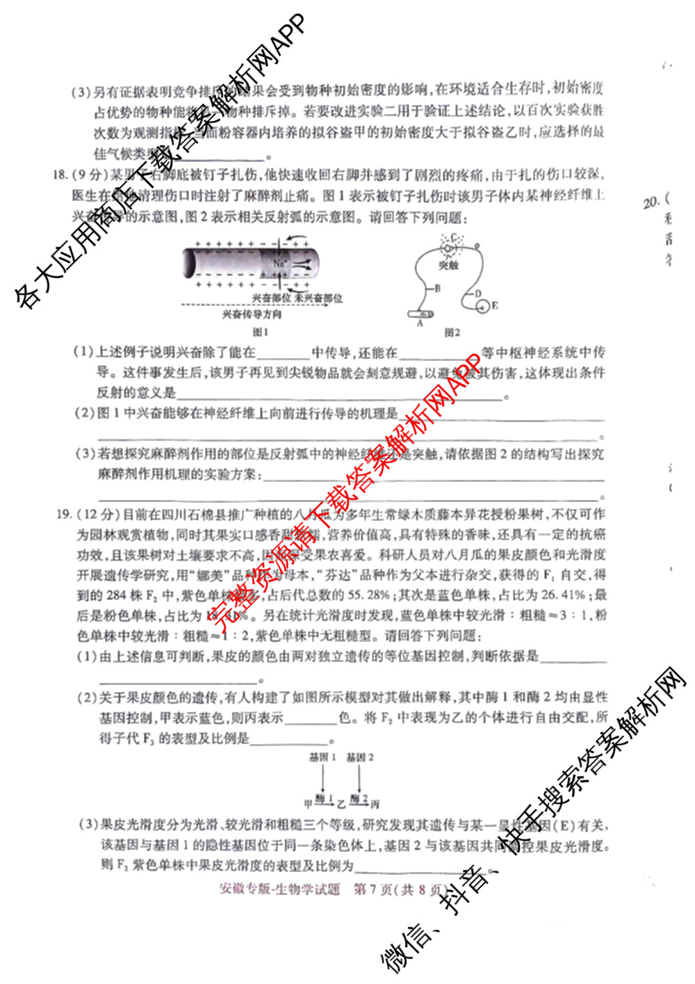 王后雄2024年普通高等学校招生全国统一考试预测卷各科答案及试卷（含语文(安徽专版)、政治(重庆专版)、历史(福建专版)等144份）生物试题