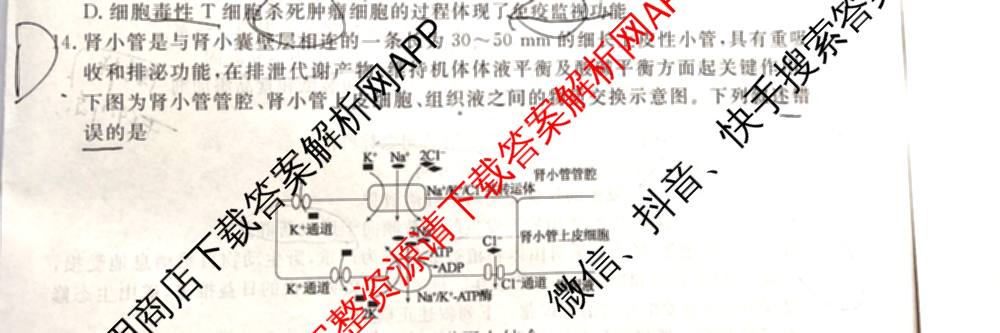 衡水金卷先享题2026年学科素养评价练(五)5各科答案及试卷（含政治(AH)【安徽四川甘肃专版】 物理(HN)【湖南专版】 生物(山东专版)等）生物试题