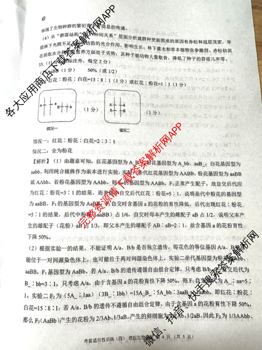 百师联盟2026届高三考前适应性训练(四)试卷及答案汇总(已更新历史(百G)、政治(百L)、语文(百)等26份)理综答案