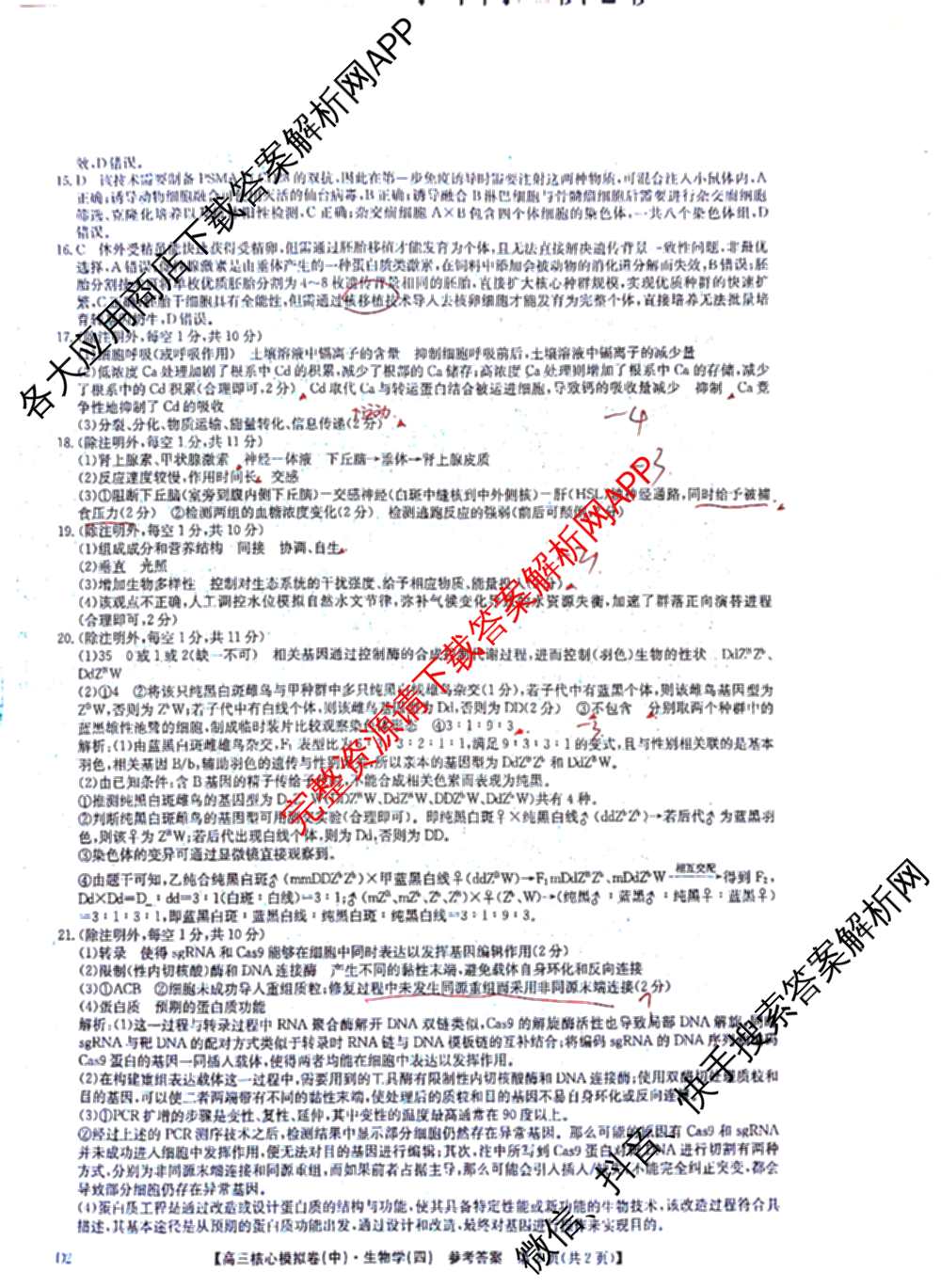 九师联盟2025~2026学年高三核心模拟卷(中)(四)试卷及答案汇总（36科全）生物答案