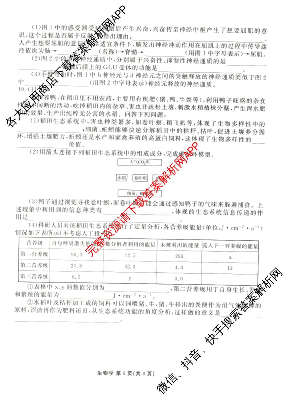 衡水金卷2025-2026学年度高三年级适应性测试(一)各科答案及试卷(已更新物理 生物 语文等9份)生物试题