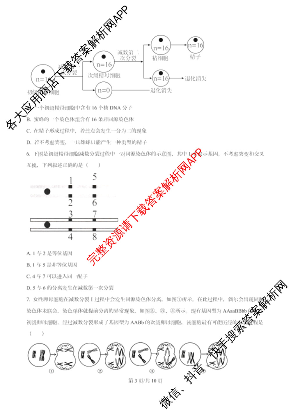 南开大学附属中学2026届上学期第一次阶段检测各科答案及试卷（含政治、数学、生物等）生物试题