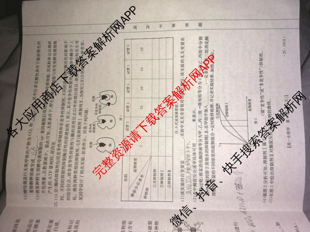 河北省2024-2025高一年级12月联考(12.16-17)试卷及答案汇总（含语文、生物、物理等9份）生物试题