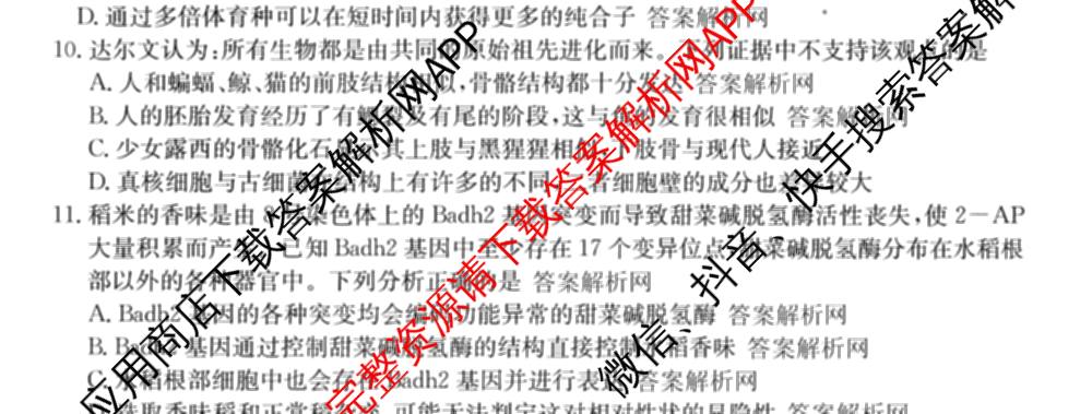 全国名校2026届高三月考滚动卷(二)2试卷及答案汇总（含物理(A) 化学(A) 数学等）生物试题