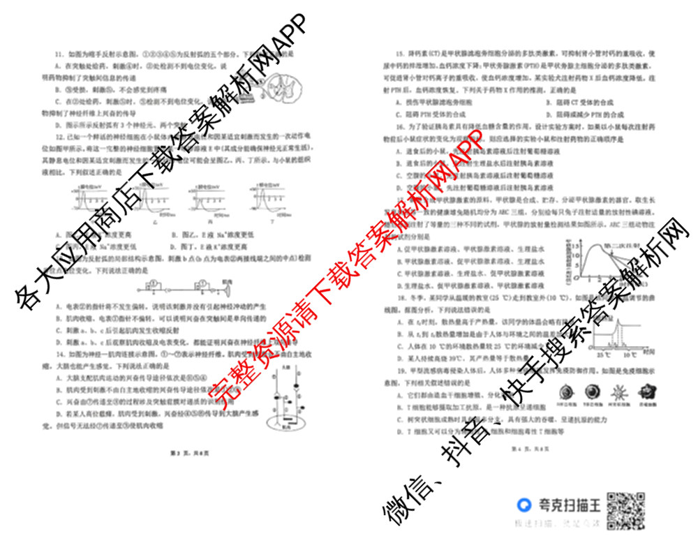 雅礼中学2025年下学期高二10月考试卷各科答案及试卷（9科全）生物试题