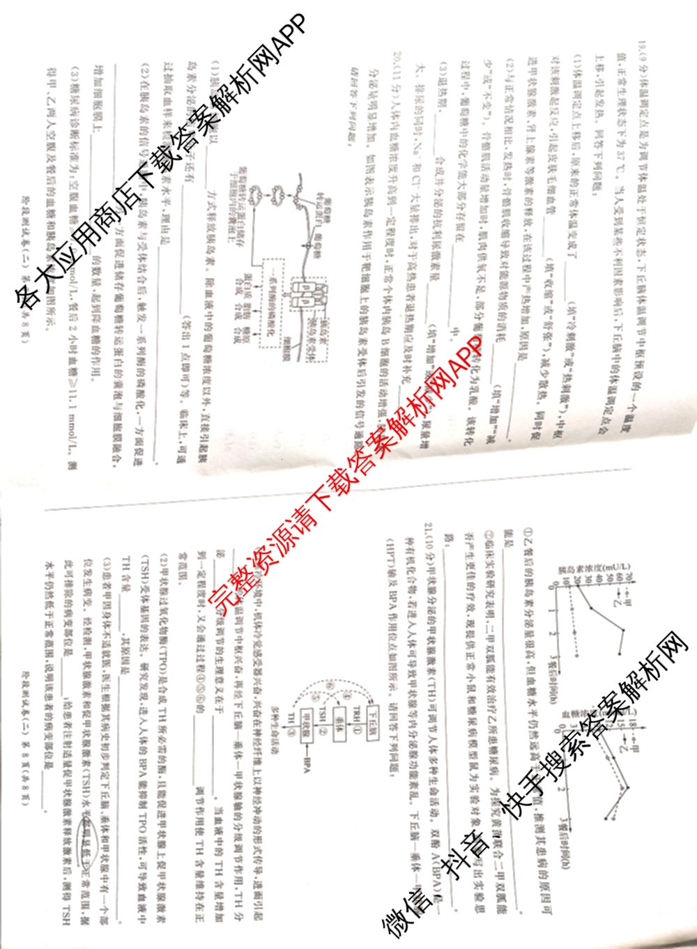 百师联盟2025-2026学年高二上学期阶段测试卷(二)2试卷及答案汇总（含化学(人教版90分钟·多选)、化学(人教版75分钟·单选)、政治(75分钟)等26份）生物试题