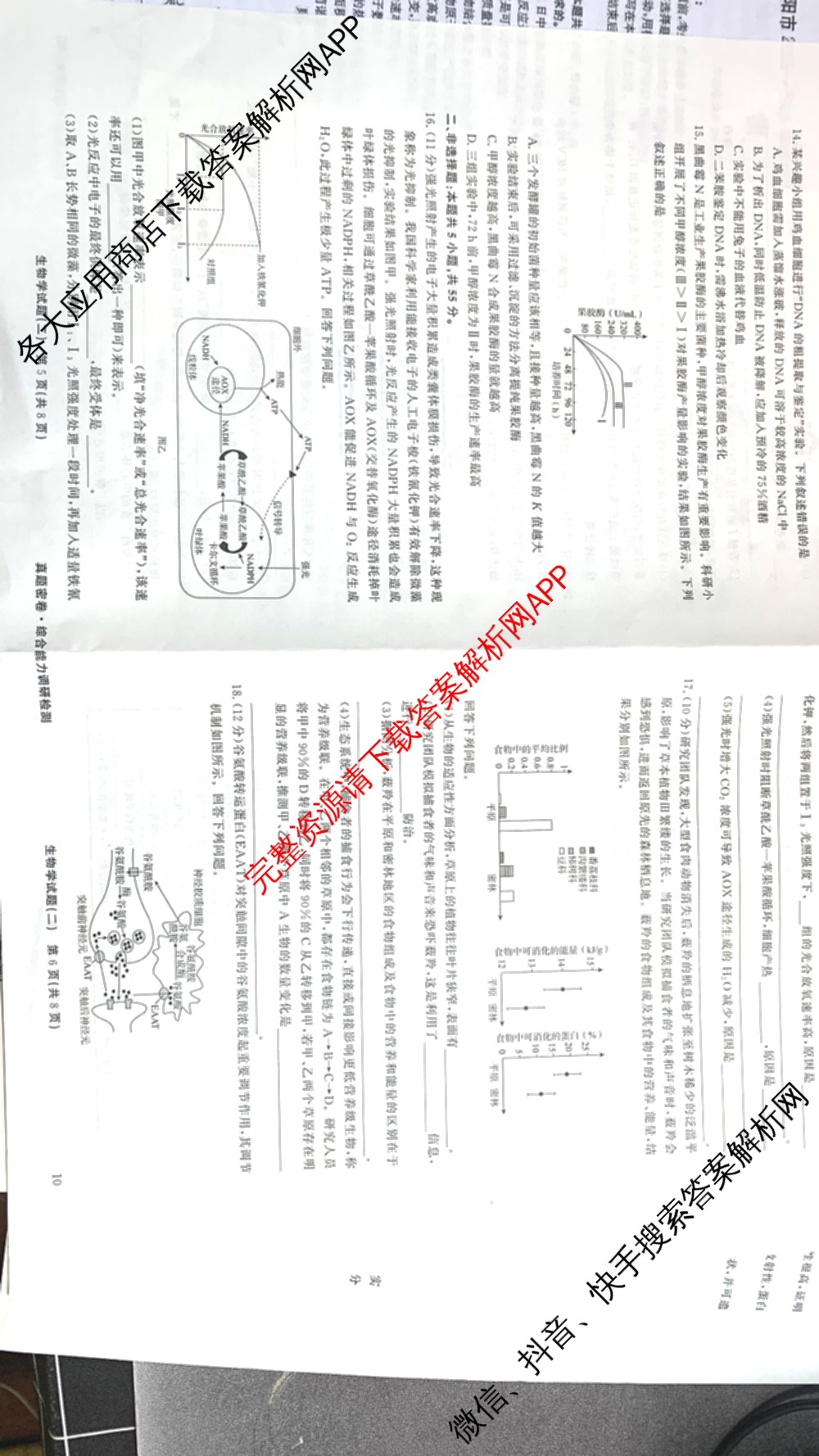 衡水真题密卷2025-2026学年度综合能力调研检测(二)2各科答案及试卷（15科全）生物试题