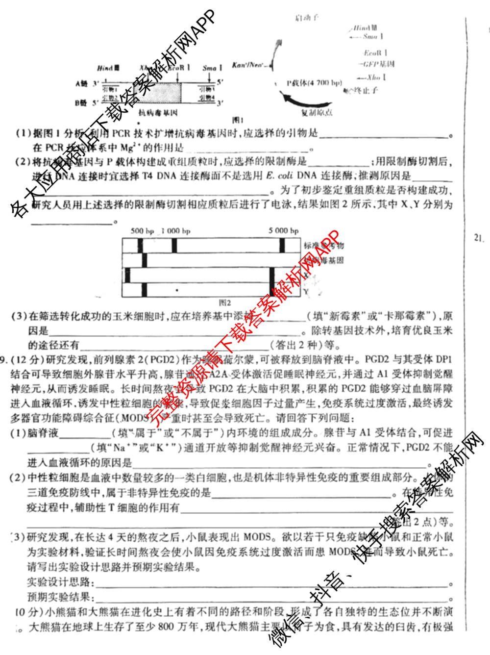 天一大联考2025届高考全真模拟卷(七)7试卷及答案汇总(已更新化学(河南专版) 历史(安徽专版) 历史(河南专版)等39份)生物试题