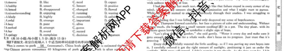 甘肃省临洮二中2026届能力提升训练卷(二)(6251C-2)（含英语、数学、政治等9份）英语试题