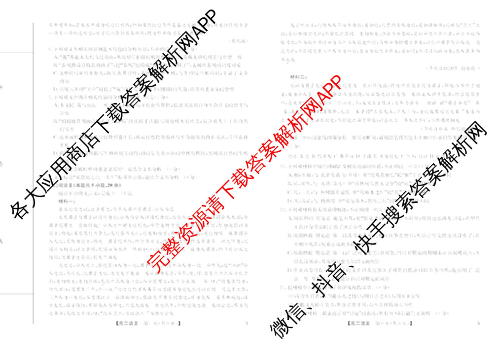 2024-2025学年福建百校高二期末考试(7月)各科答案及试卷（含化学(A)、数学(A)、物理(A)等）语文试题