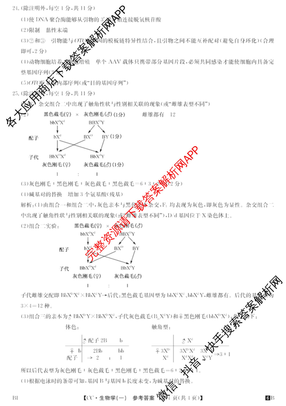 2026年全国高考冲刺压轴卷(一)1（含生物(河南) 地理(C2) 数学等）生物答案