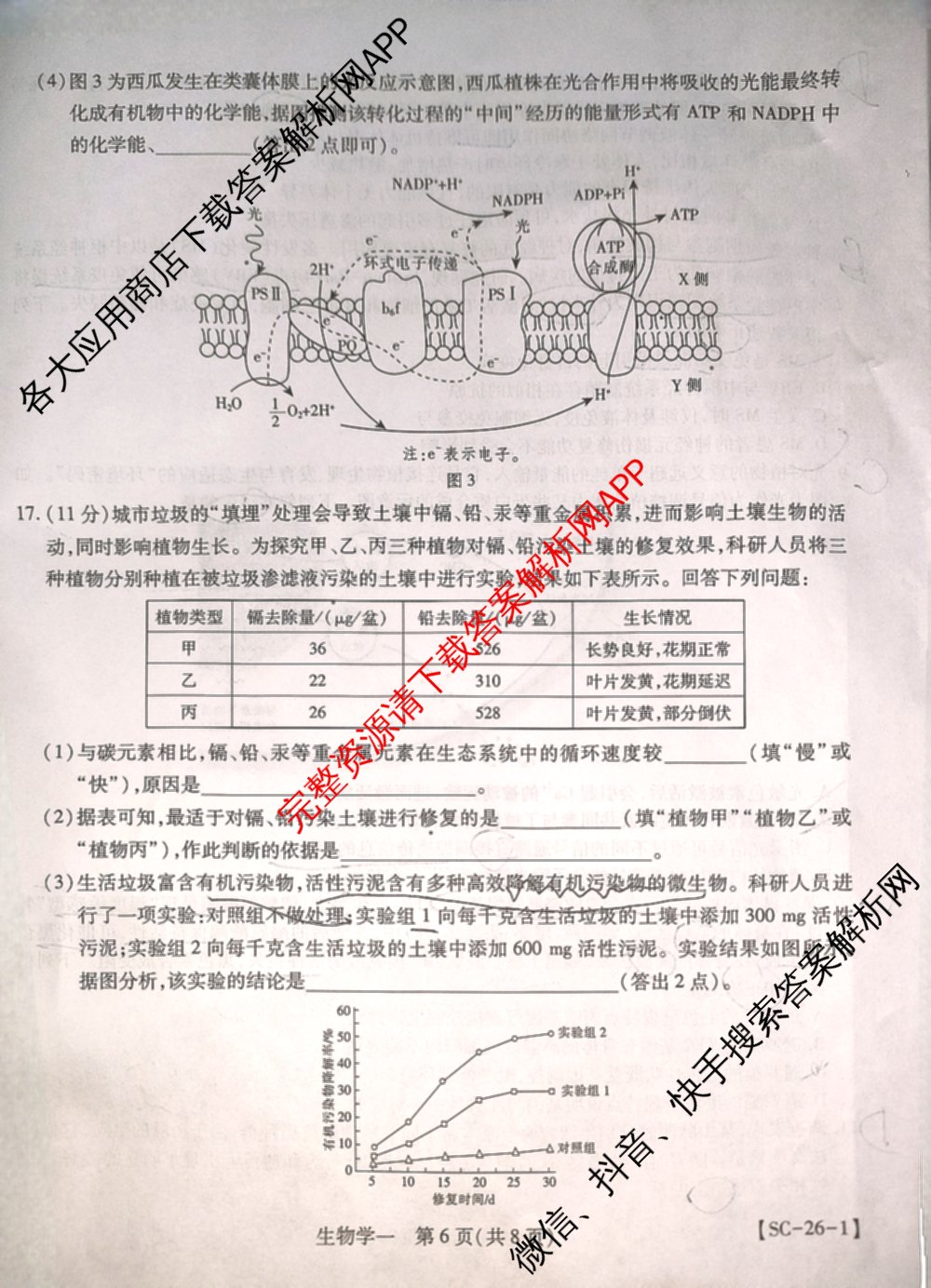 2026届智慧上进名校学术联盟高考模拟信息卷&冲刺卷&预测卷(一)1(已更新化学(I-26-1) 历史(26-1) 生物(II)等49份)生物试题