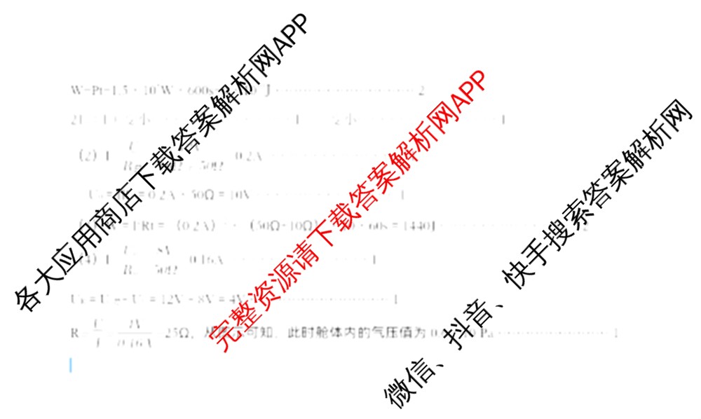 2025年河南省中考冲刺压轴卷B试题卷各科答案及试卷（含数学 物理 道德与法治等7份）物理答案