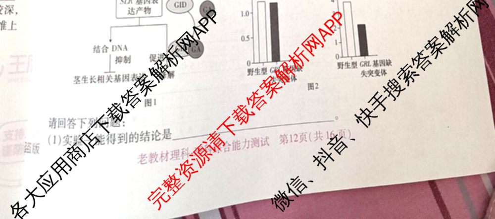王后雄2024年普通高等学校招生全国统一考试预测卷各科答案及试卷（含语文(安徽专版)、政治(重庆专版)、历史(福建专版)等144份）理综试题