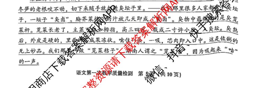 福建省漳州市2025届高中毕业班第一次教学质量检测(已更新地理 政治 物理等9份)语文试题