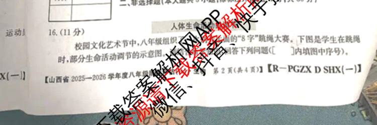 山西省2025-2026学年度八年级阶段评估(A)[PGZX D SHX(一)]各科答案及试卷（含语文(R) 道德与法治(R) 地理(R)等）生物试题