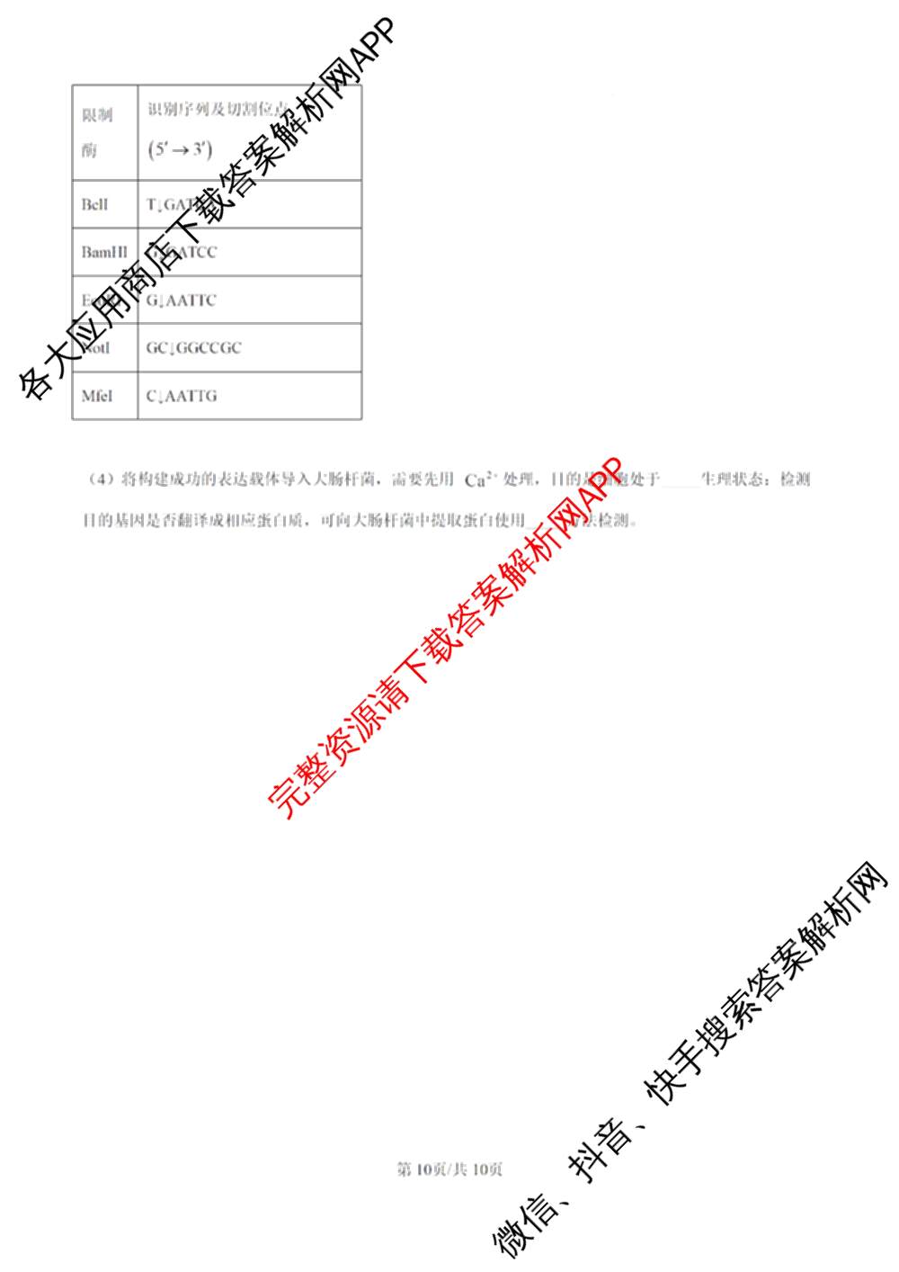 河北省沧州市十校2026届高三一模考试(4.8无标题): 含地理、化学、英语试卷解析生物试题