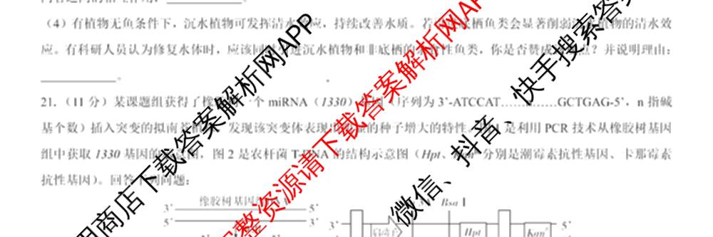 名校教研联盟2026届高考仿真模拟卷(样卷)试卷及答案汇总(含语文、物理(A)、物理(E)等11份)生物试题 名校教研联盟2026届高考仿真模拟卷(样卷)试卷及答案汇总(含语文、物理(A)、物理(E)等11份)生物试题
