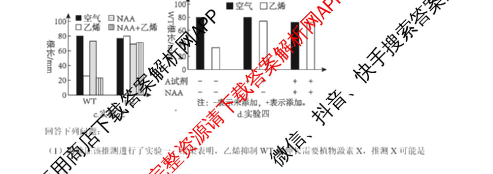 2024年高考真题(新高考)(已更新生物(山东卷) 数学(新课标II卷) 物理(河北卷)等108份)生物试题