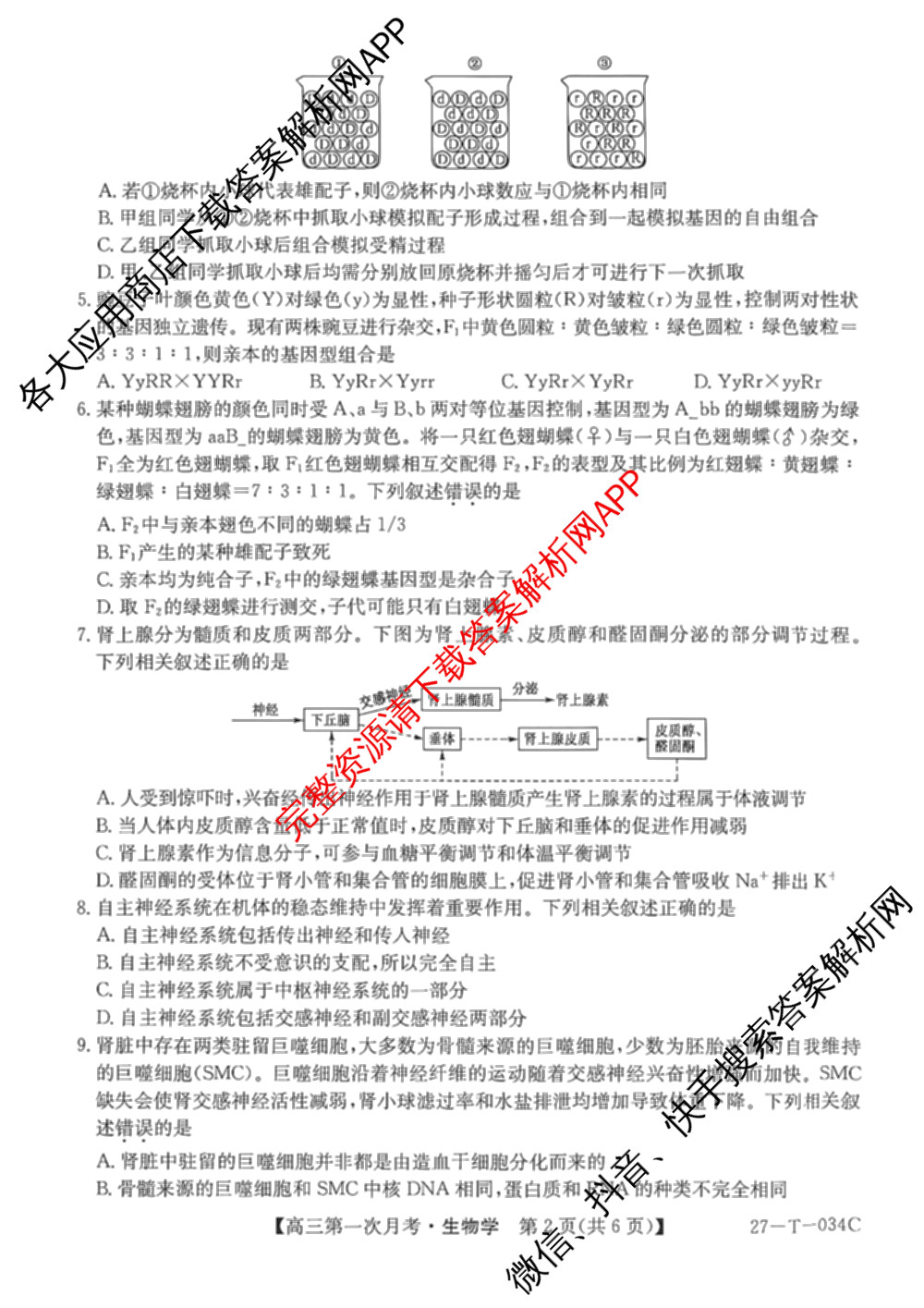 贵州省2026-2027学年秋季学期第一次月高三(27-T-034C)试卷及答案汇总（含化学、历史、英语等）生物试题