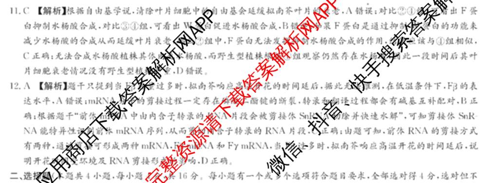 炎德英才大联考湖南师大附中2026届高三月考试卷(四)试卷及答案汇总: 含政治、数学、语文试卷解析生物试题