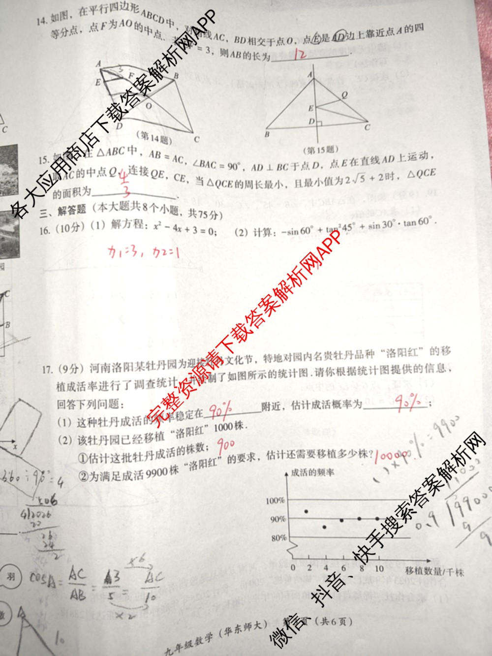 河南省2025-2026学年第一学期教学评估试卷九年级12月（含语文(部编版)、化学(人教版)、英语(仁爱版)等）数学试题
