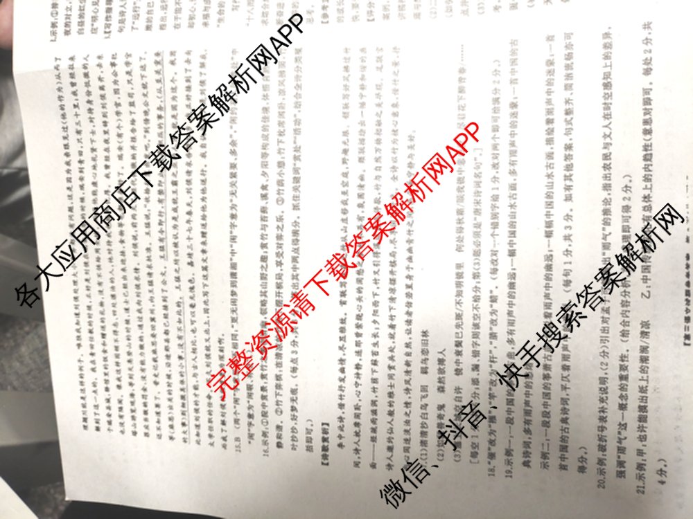 湖南省2025届高三冲刺压轴大联考各科答案及试卷（含数学 化学 政治等）语文答案