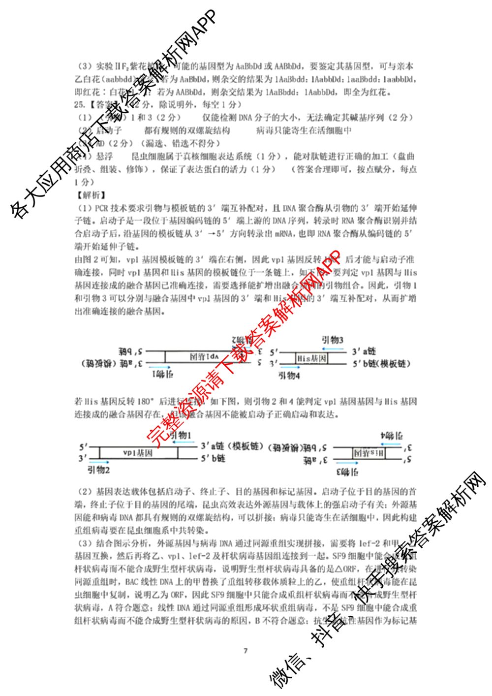 龙东十校联盟2025届高三联考4月试卷及答案汇总（9科全）生物答案