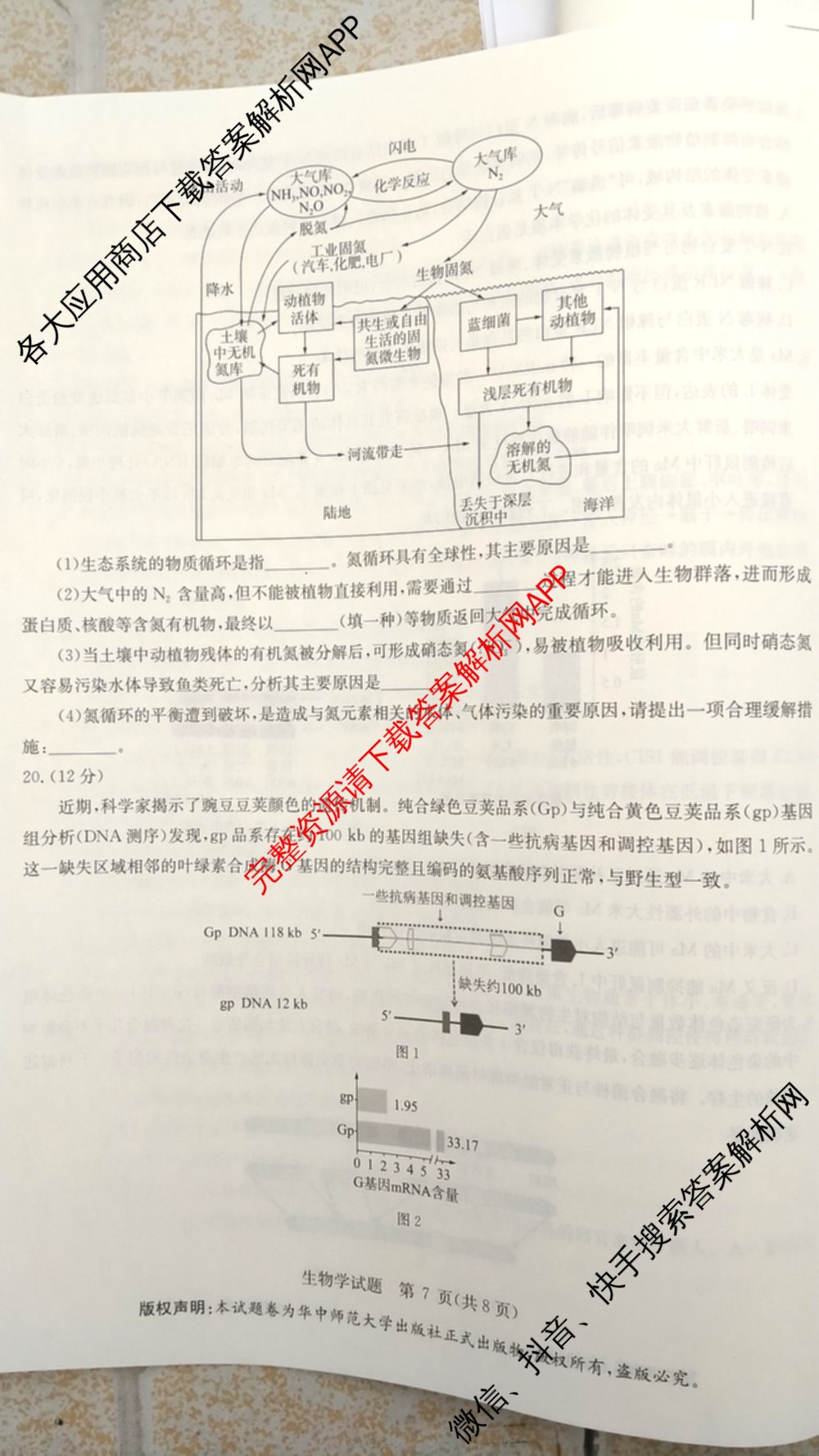 华大新高考联盟2026届高三9月教学质量测评各科答案及试卷（含生物 语文 数学(新高考卷)等）生物试题