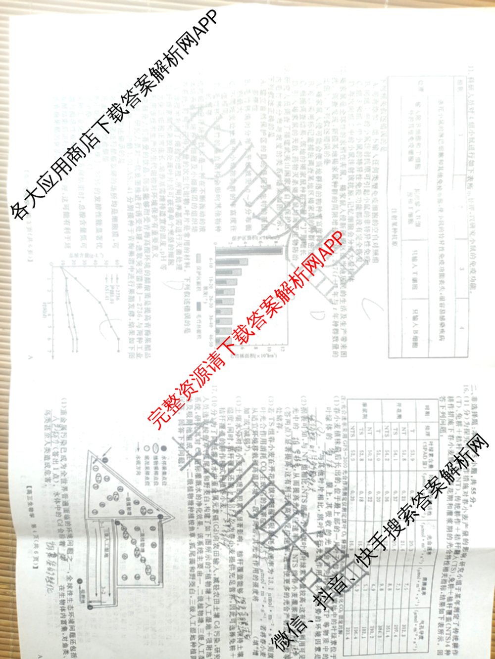 华师联盟2025届高三第一学期开学质量检测试卷及答案汇总（9科全）生物试题