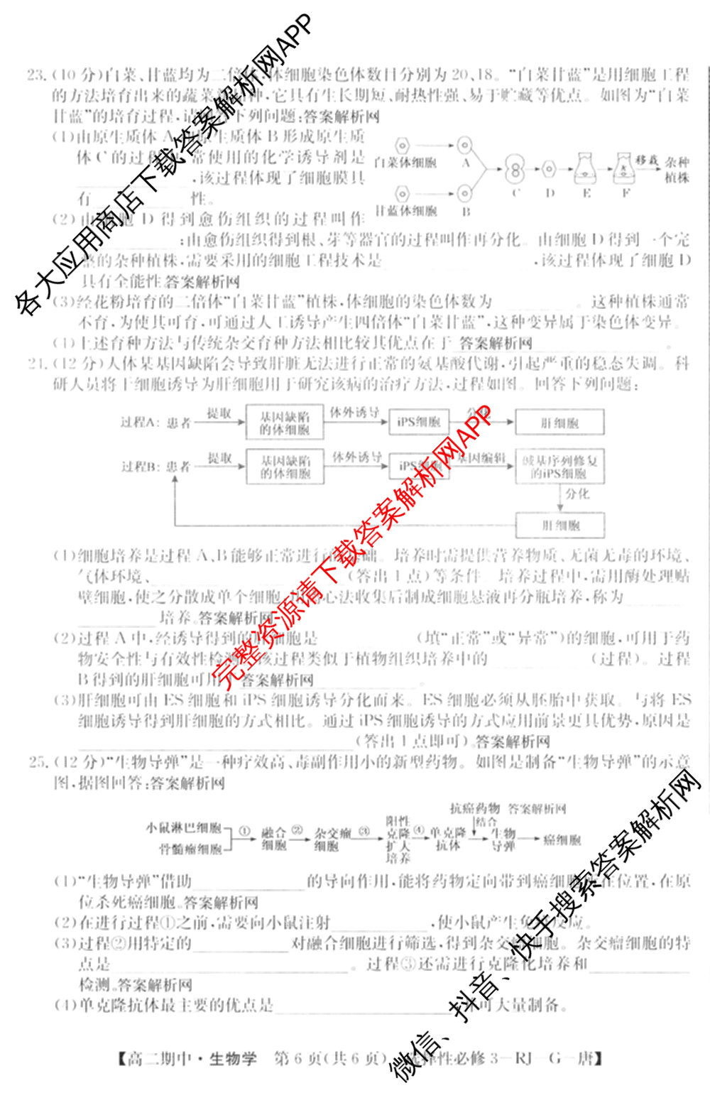 2025~2026全国名校高二第二学期期中考试试卷 (已更新化学(选择性必修2-RJ-G-唐) 数学(选择性必修第三册-RJA-X-F-H-唐) 政治(选择性必修2-BB-J-唐)等10份)生物试题