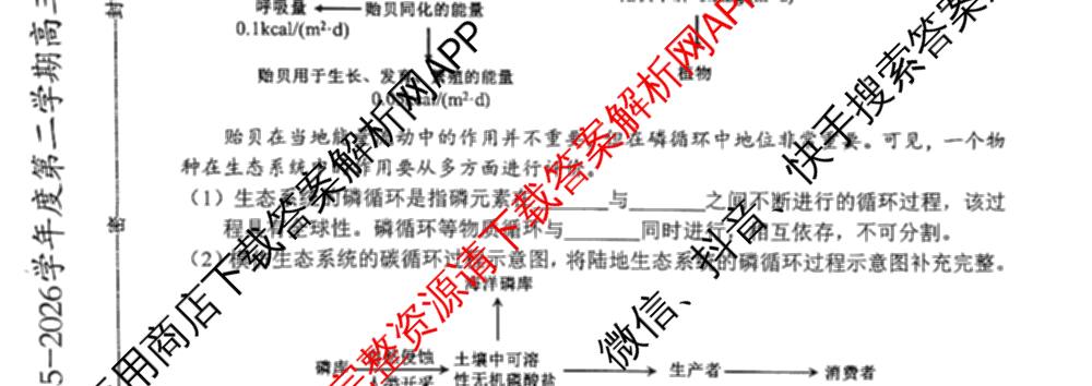 天津市和区2025-2026学年度第二学期高三年级第一次质量调查(已更新化学、历史、英语等9份)生物试题