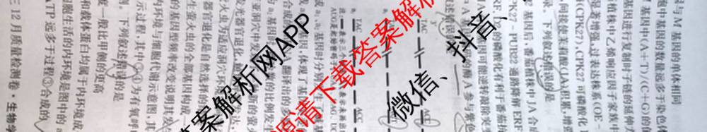 三晋卓越联盟山西省2025~2026学年高三12月质量检测卷(26-X-205C)各科答案及试卷（含语文、地理(A卷)、政治(B卷)等）生物试题