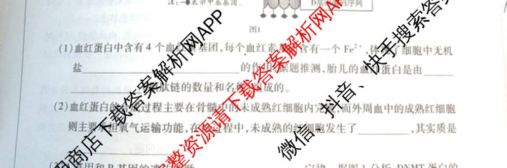 2025-2026学年(上)高三年级天一小高考(二)☆试卷及答案汇总: 含历史 地理 政治试卷解析生物试题