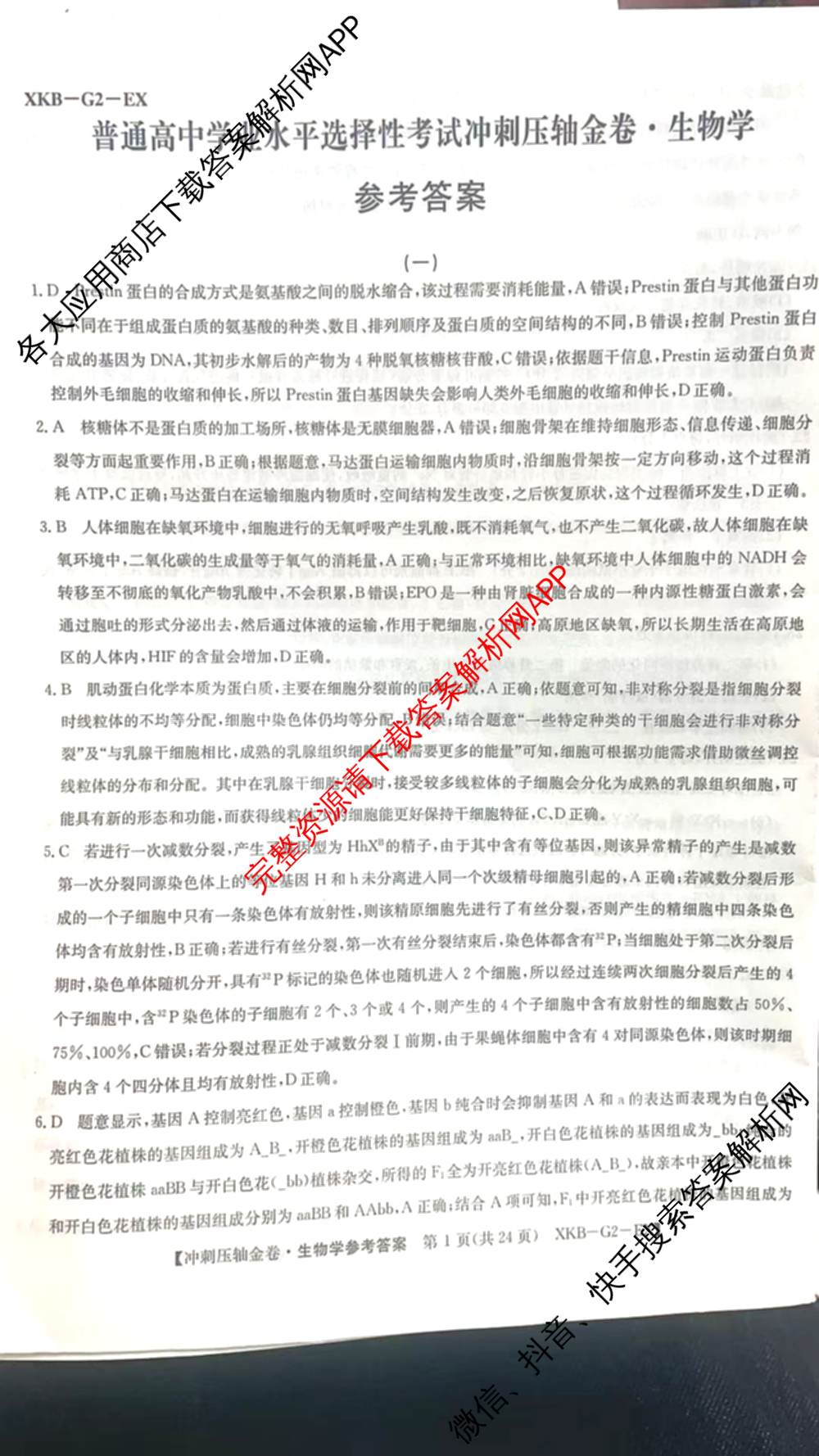 XKB2025届普通高等学校招生全国统一考试冲刺压轴金卷(一)1（含物理(XKB-G10-EX) 英语(XKB-G1-EX) 化学(XKB-G1-H-EX)等）生物答案