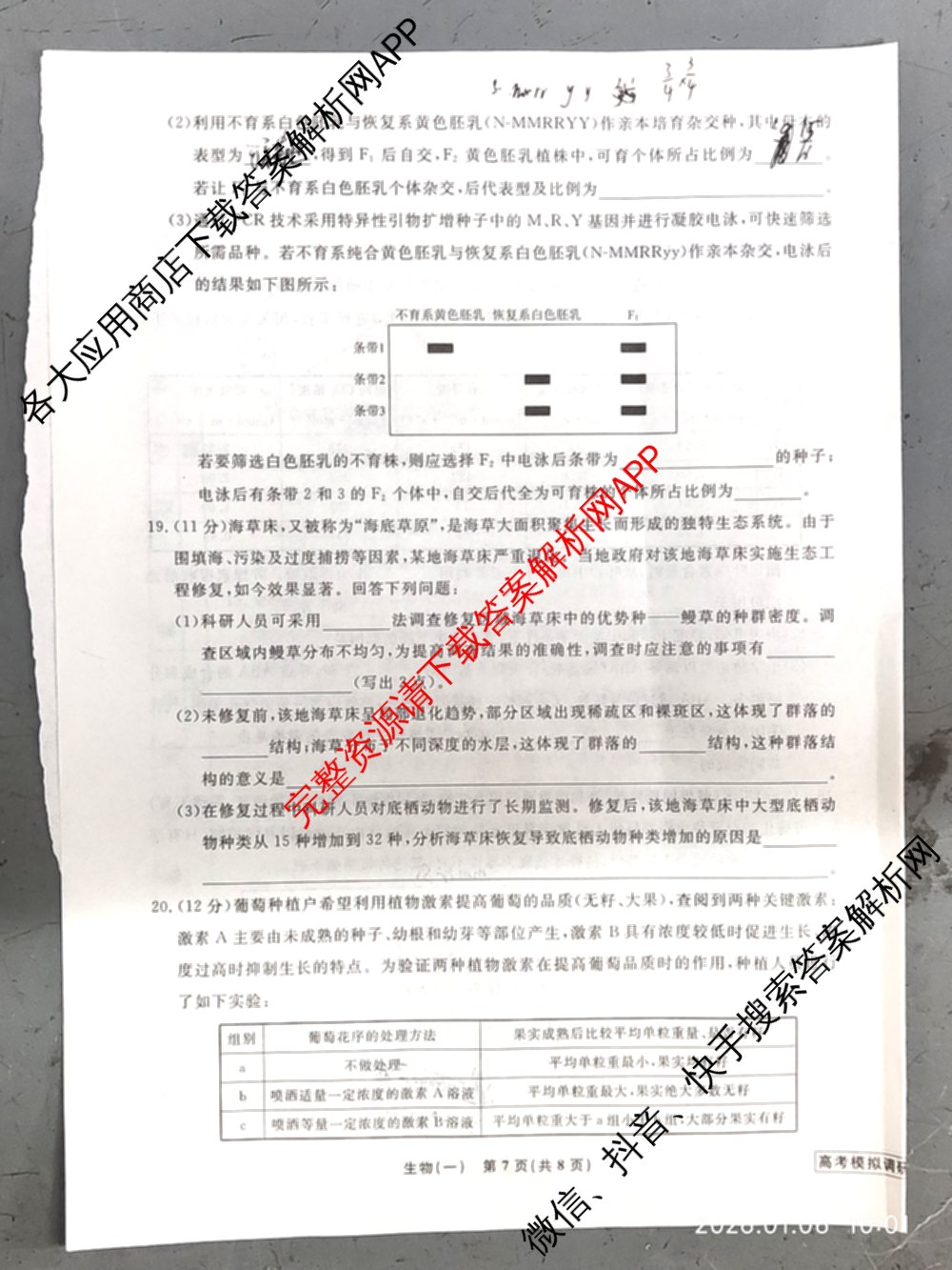 衡水名师卷高考模拟调研卷 2026年普通高等学校招生全国统一考试模拟试题(一)1: 含化学(※) 地理 物理(※)试卷解析生物试题