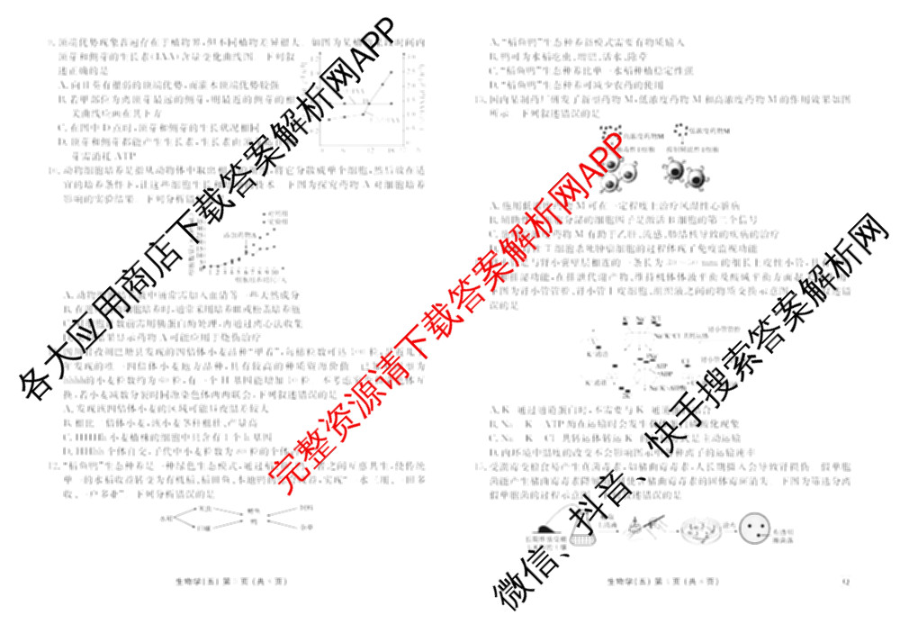 衡水金卷先享题2026年学科素养评价练(五)5各科答案及试卷（含政治(AH)【安徽四川甘肃专版】 物理(HN)【湖南专版】 生物(山东专版)等）生物试题