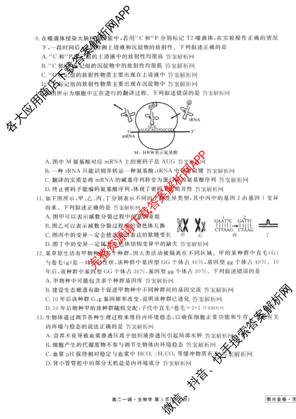 衡水金卷先享题月考卷2025-2026学年度上学期高二年级一调考试各科答案及试卷(已更新化学(人教版) 地理(人教版) 政治等9份)生物试题