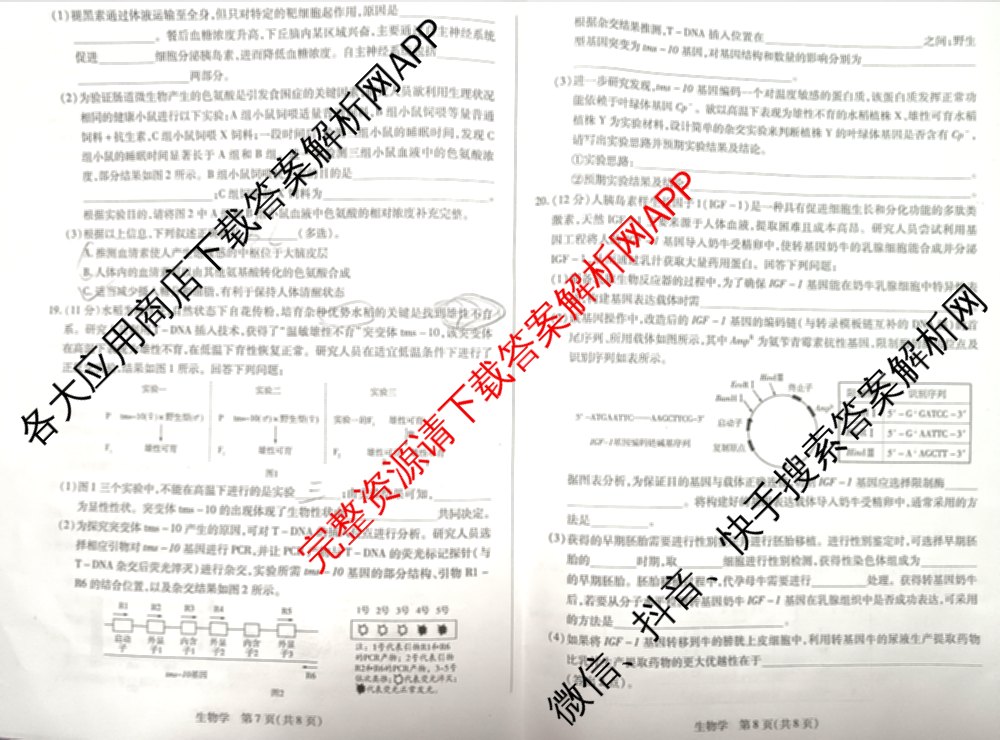 天一大联考2025-2026学年高三3月(二)联考: 含政治 历史 英语试卷解析生物试题