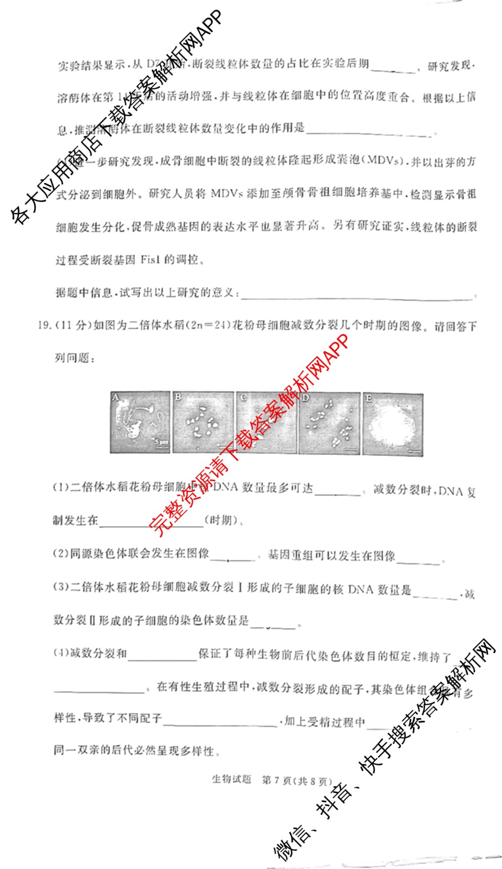 2026届普通高等学校招生全国统一考试青桐鸣大联考(高二)试卷及答案汇总（12科全）生物试题