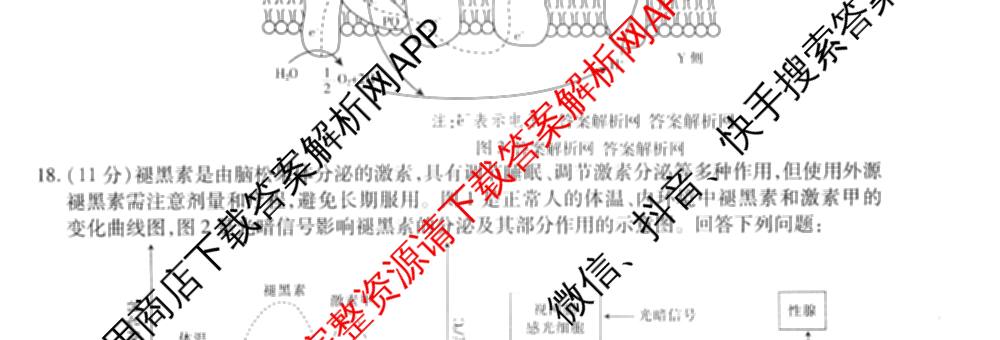 2026届智慧上进名校学术联盟高考模拟信息卷&冲刺卷&预测卷(一)1(已更新化学(I-26-1) 历史(26-1) 生物(II)等49份)生物试题