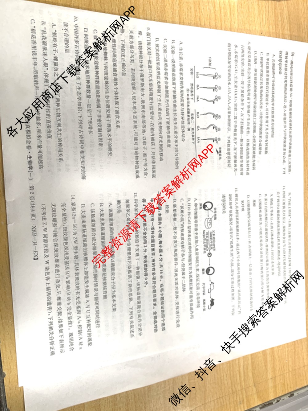 XKB-J-EX 2026届普通高等学校招生全国统一考试仿真模拟金卷(一)1（含物理(XKB-J2-EX)、语文(XKB-J1-EX)、化学(XKB-J1-B-EX)等10份）生物试题