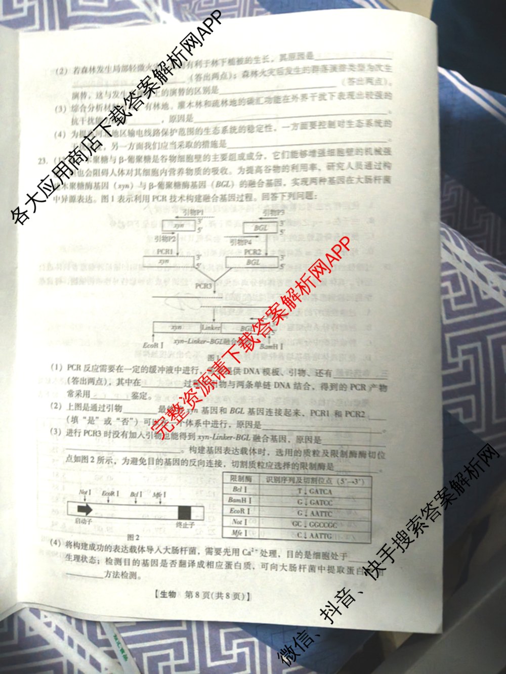 琢名小渔名校联考2026届高三4月联考(无标题)各科答案及试卷（含数学、物理、语文等9份）生物试题