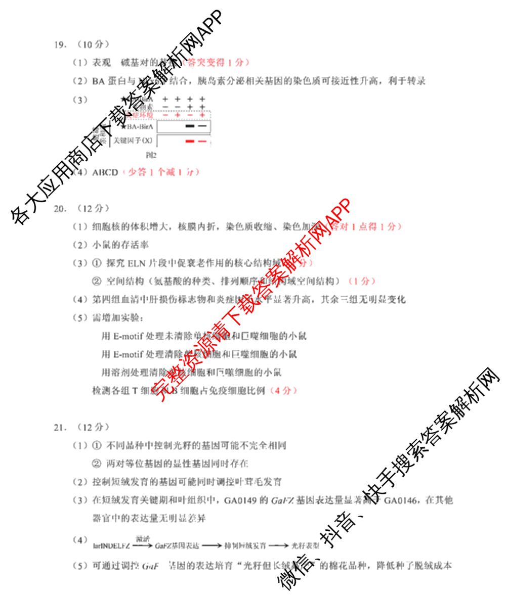 2026北京昌高三一模(2026.4)各科答案及试卷: 含物理、生物、英语试卷解析生物答案