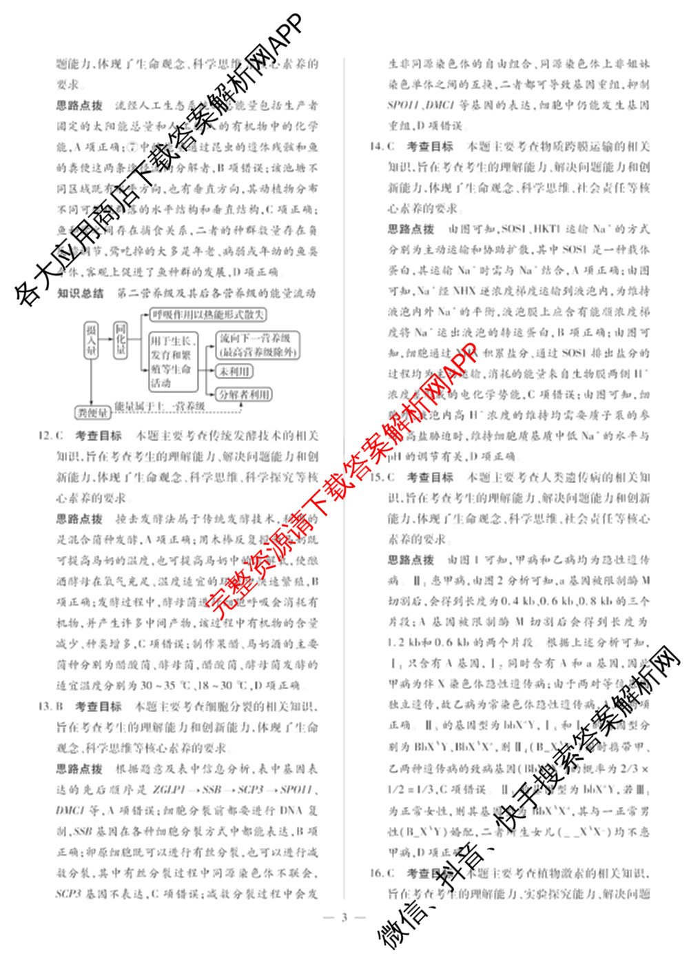 天一大联考2025届高考全真模拟卷(七)7试卷及答案汇总(已更新化学(河南专版) 历史(安徽专版) 历史(河南专版)等39份)生物答案