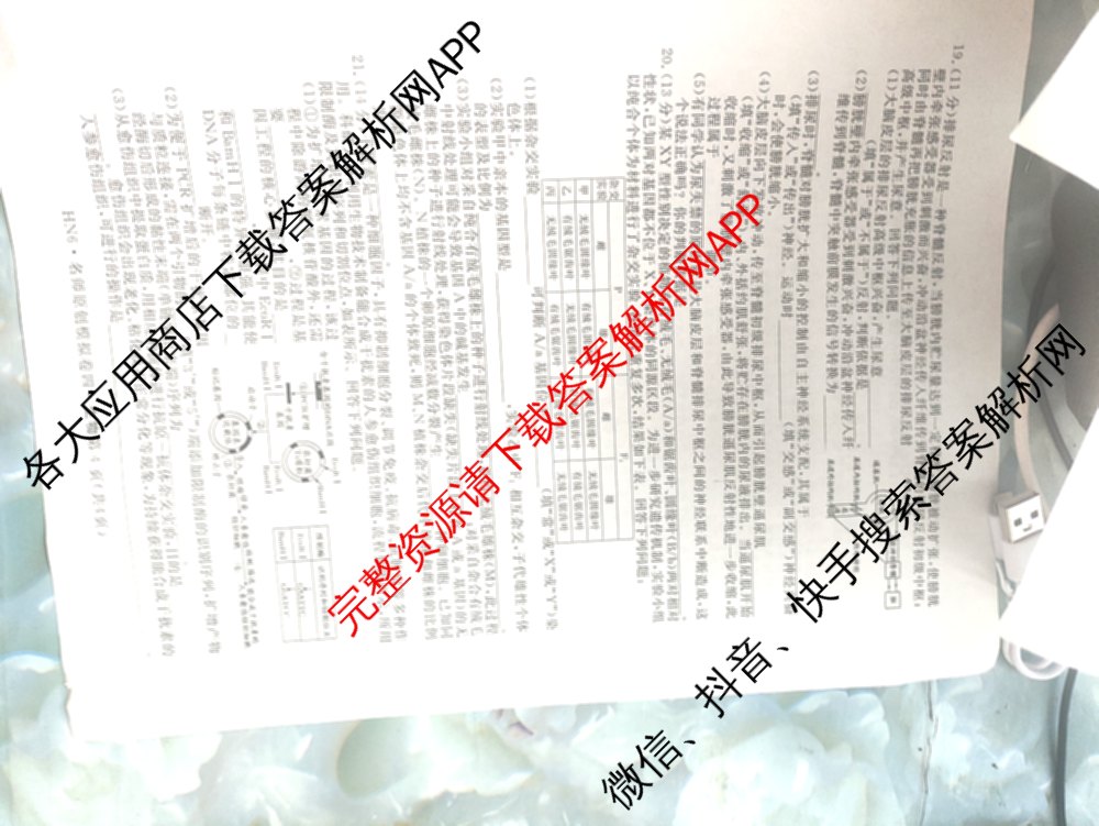 2026届高三总复习名师原创模拟(四)4各科答案及试卷（39科全）生物试题