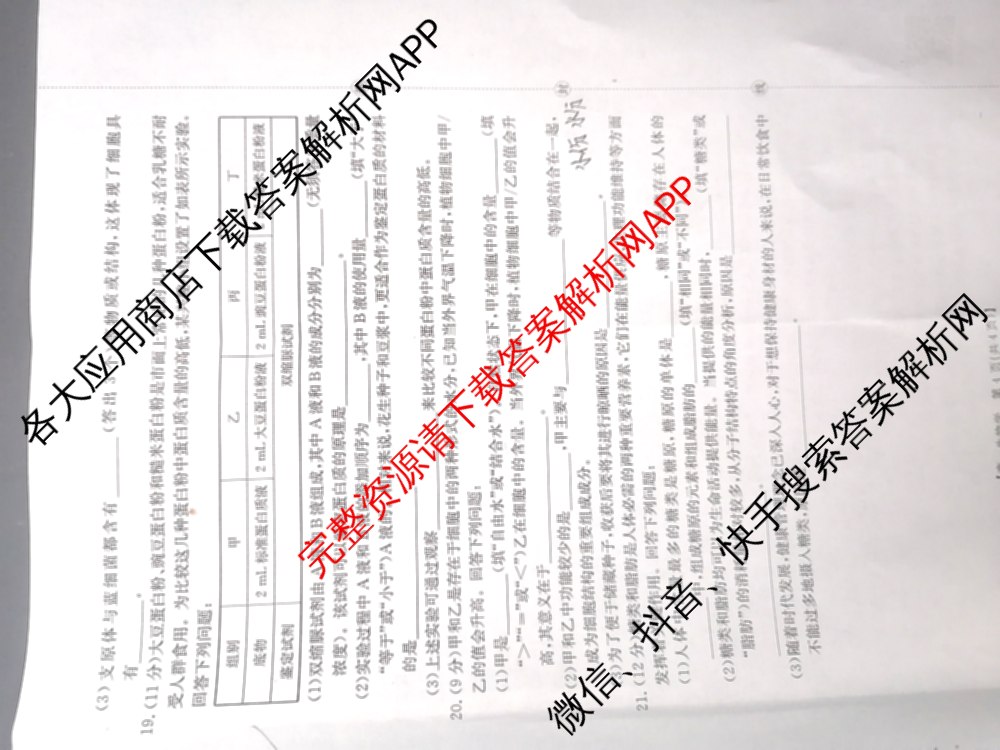 陕西省2025-2026学年高一年级考试(9.25)各科答案及试卷（含物理、数学(A1)、历史等9份）生物试题