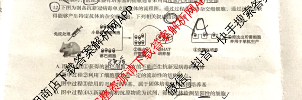 郴州市2025届高三第一次教学质量监测试卷各科答案及试卷（含数学、生物、地理等9份）生物试题