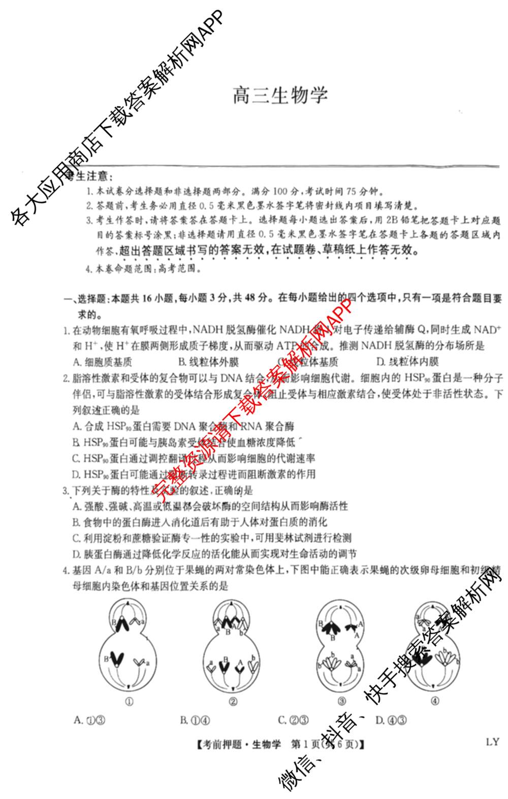九师联盟2025届高三5月考前冲刺(一)（含地理(N)、政治、英语(无字母)等45份）生物试题